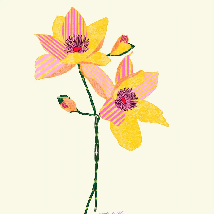 Fun Prints