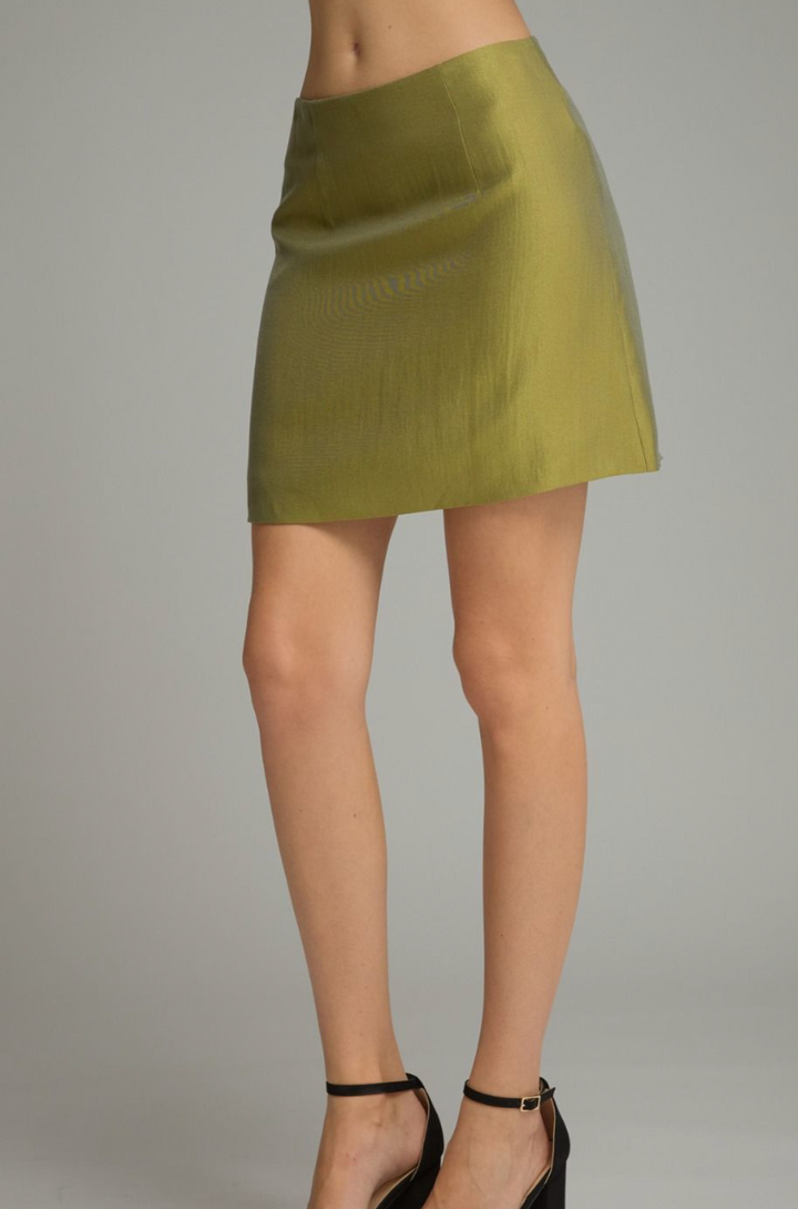 Solid Mini Skirt