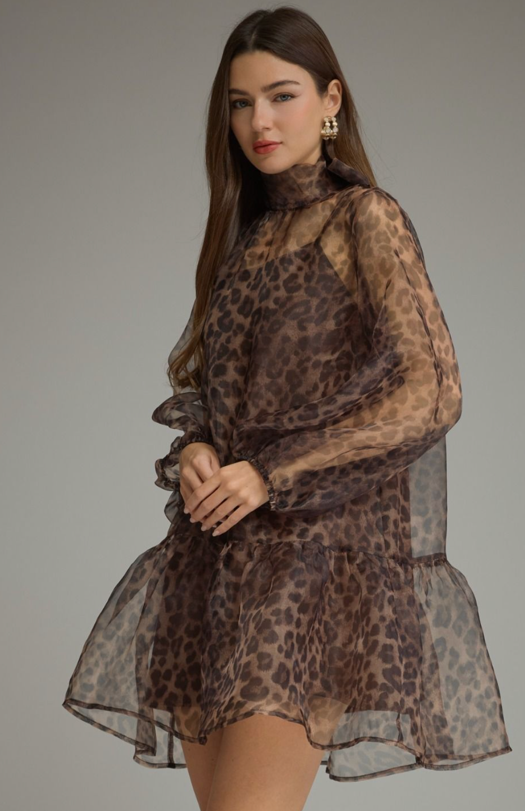 Sheer Leopard Overlay Dress