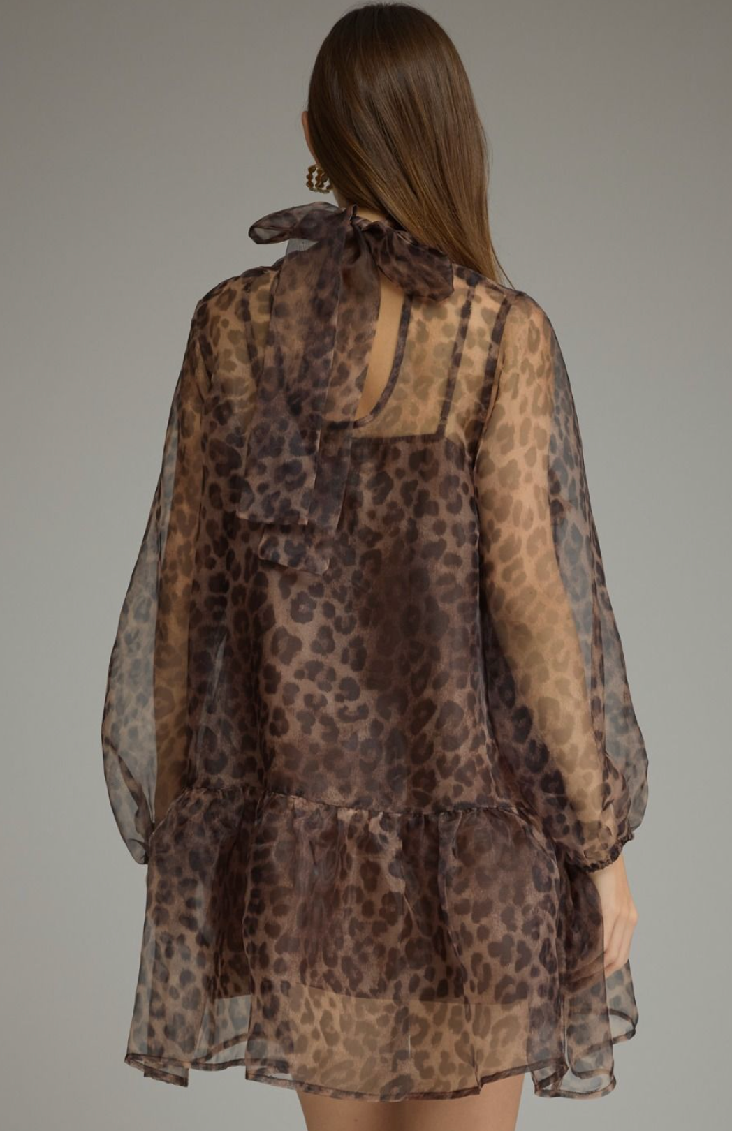 Sheer Leopard Overlay Dress